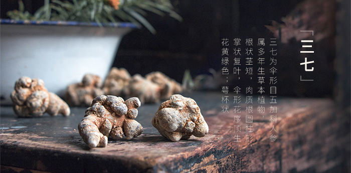 文山三七的前世今生