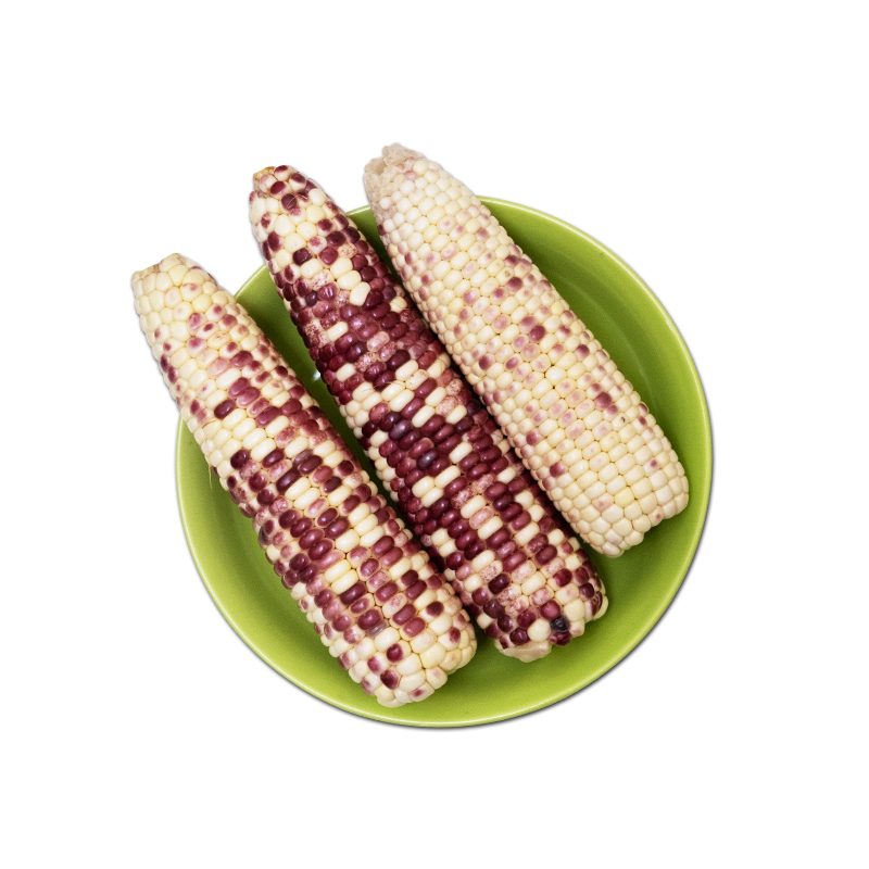 版纳小玉米1kg/箱