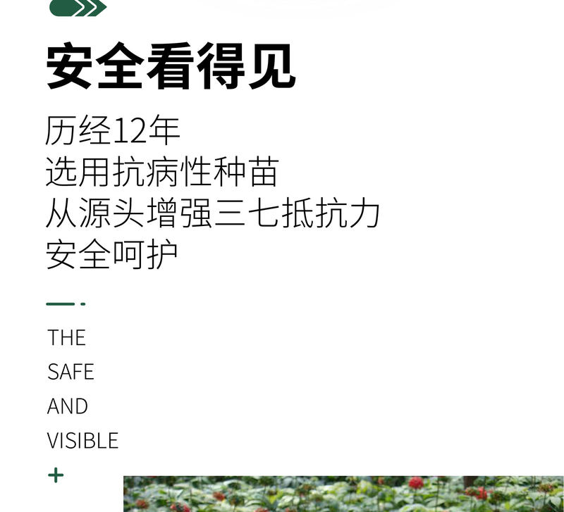 和谦三七详情页_画板-1_08