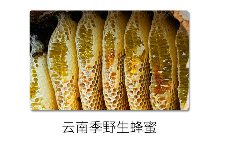 和谦三七详情页_画板-1_18
