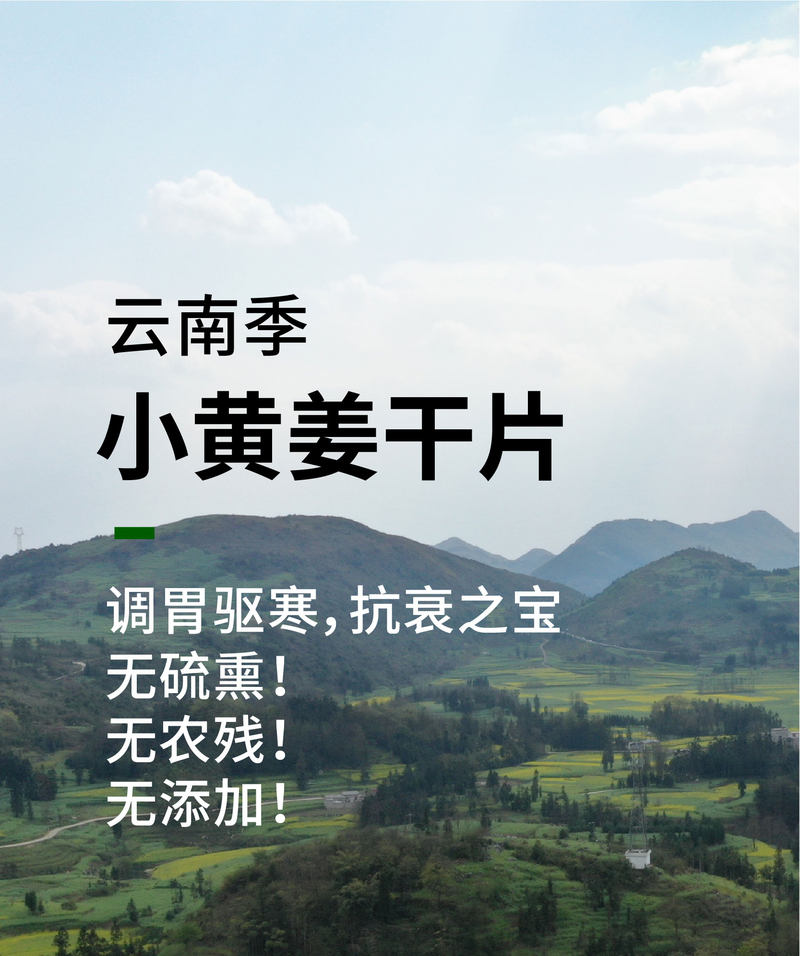 小黄姜干姜片_01