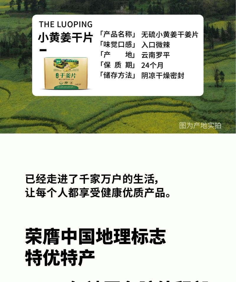 小黄姜干姜片_02