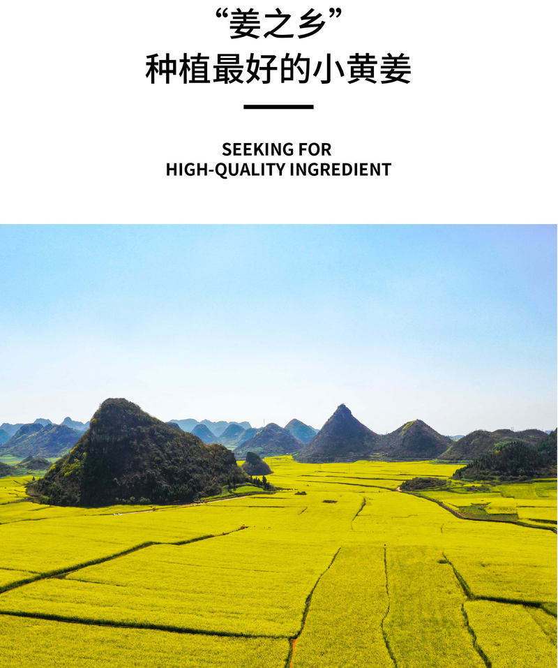 小黄姜干姜片_06