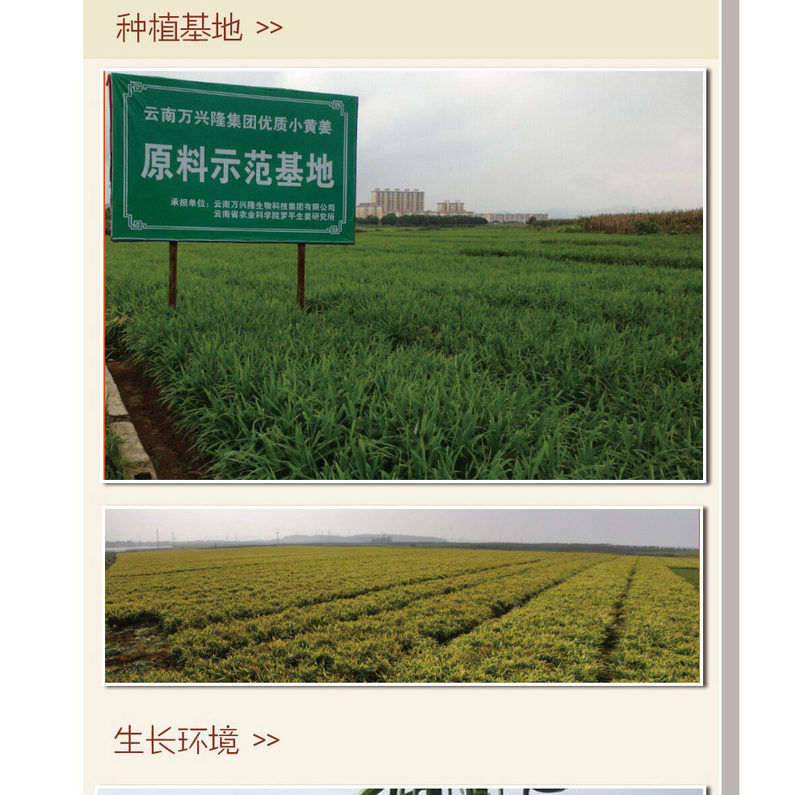 详情页_09