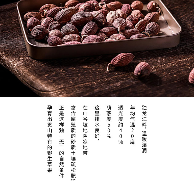 gscg_02