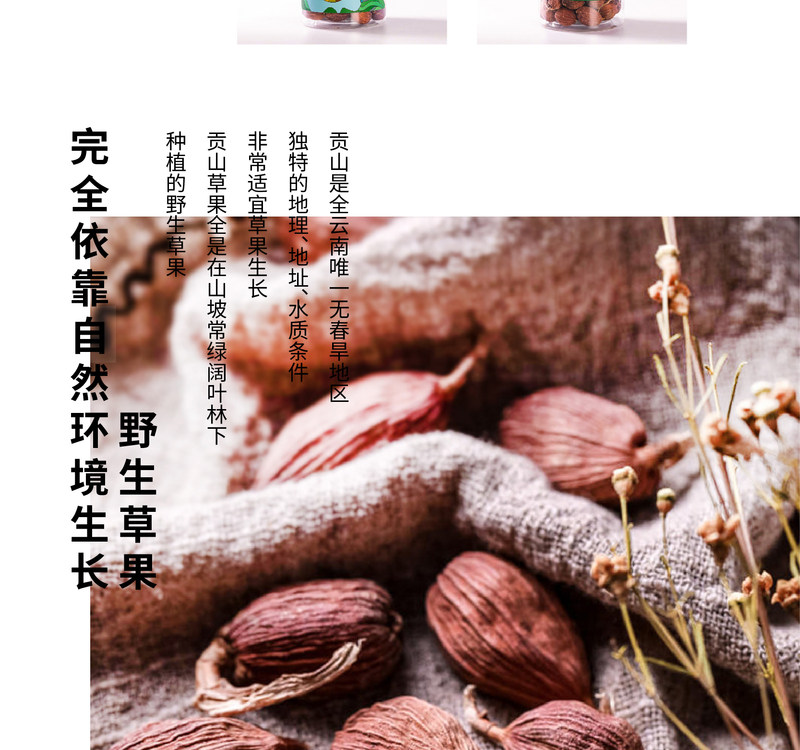 gscg_04