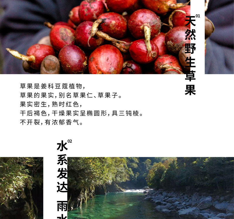 gscg_06