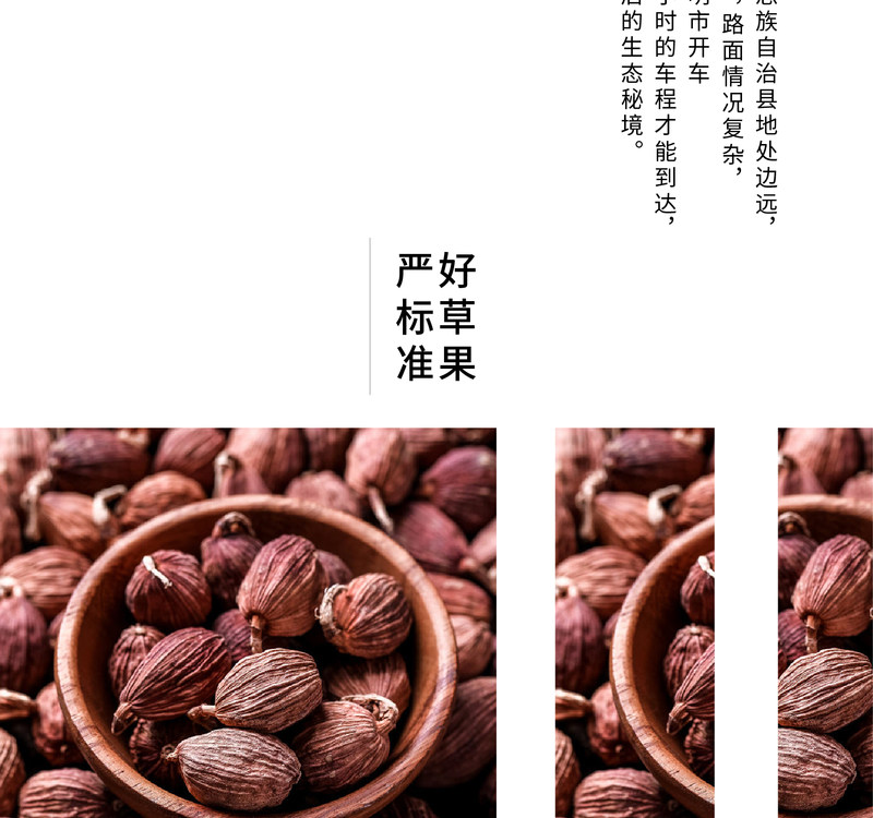 gscg_08