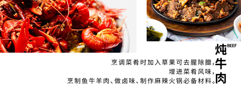 gscg_11
