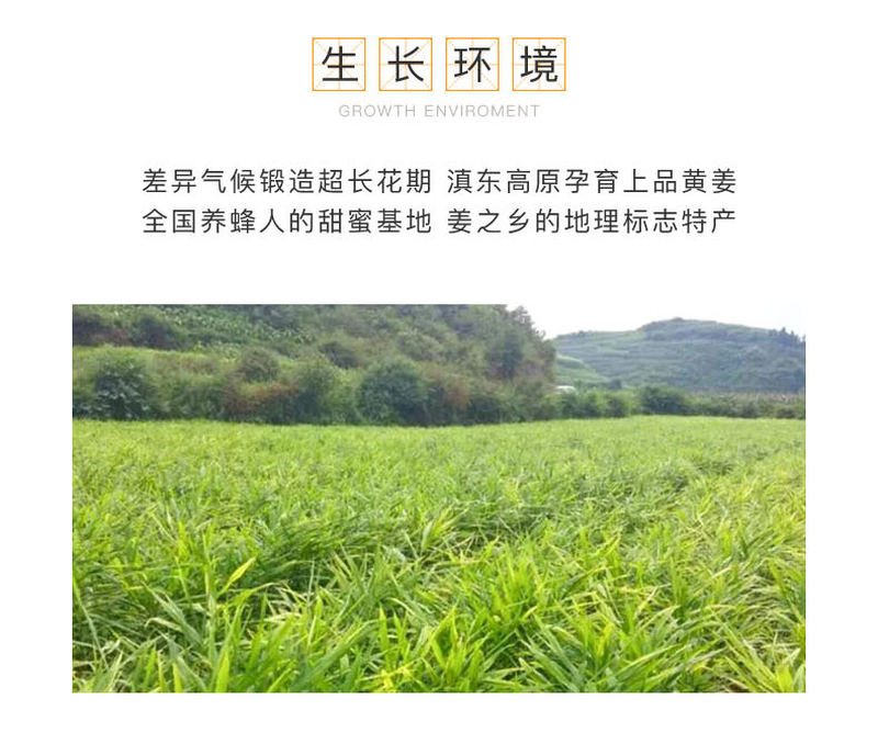 姜蜜详情页_06