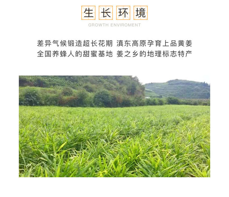 姜丝蜜详情页_06