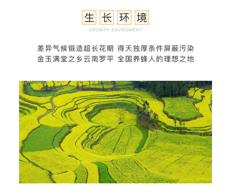 土蜂蜜详情页_05