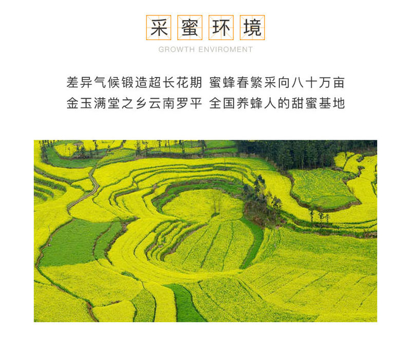 菜花蜜详情页_05