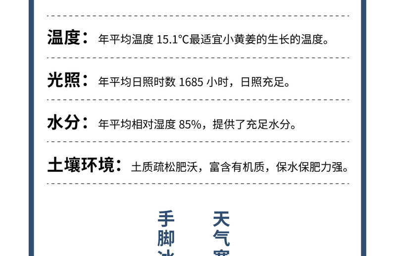 老姜红糖_07