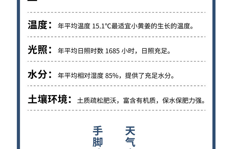 老姜枸杞红糖_07