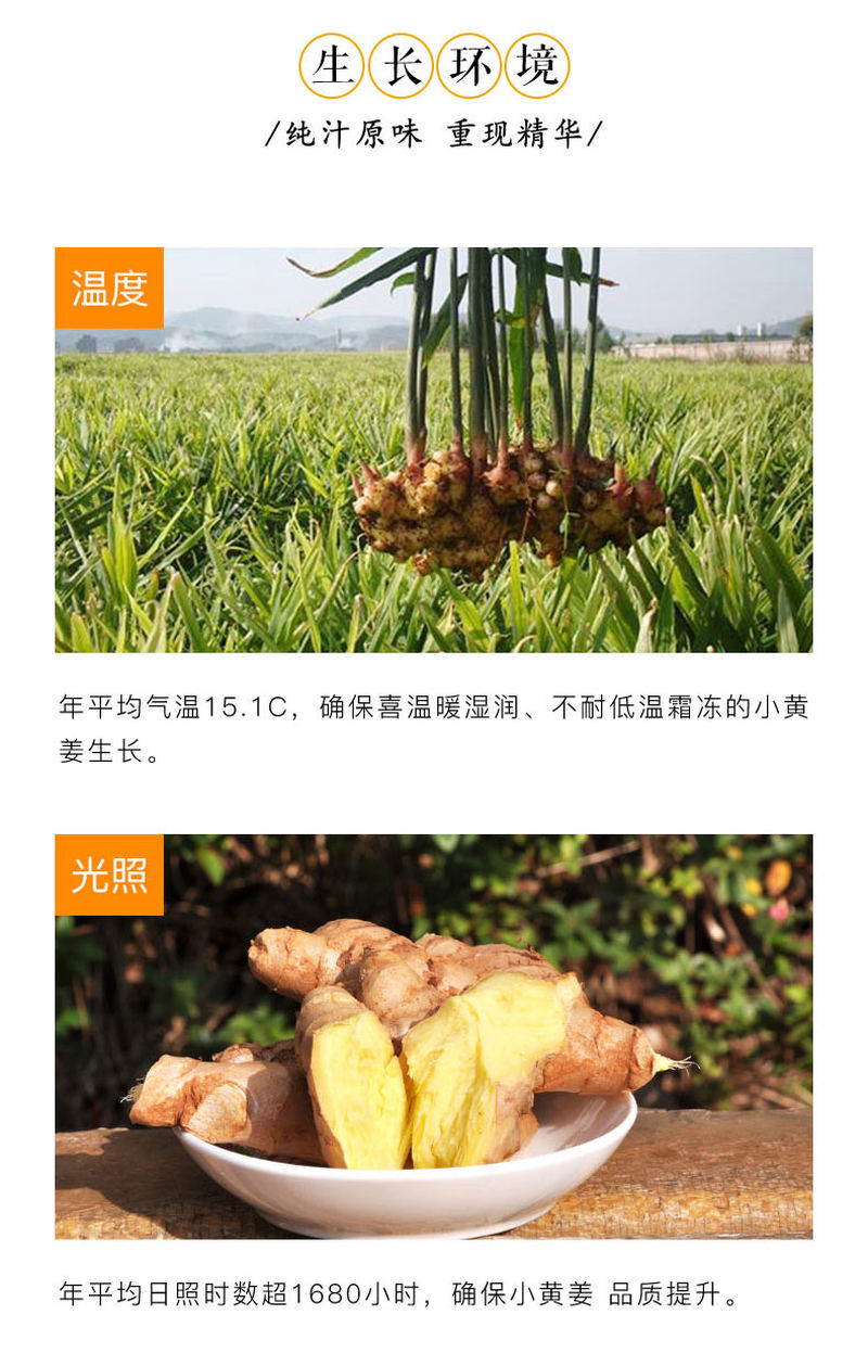 姜汁蜂蜜夹心糖详情_04