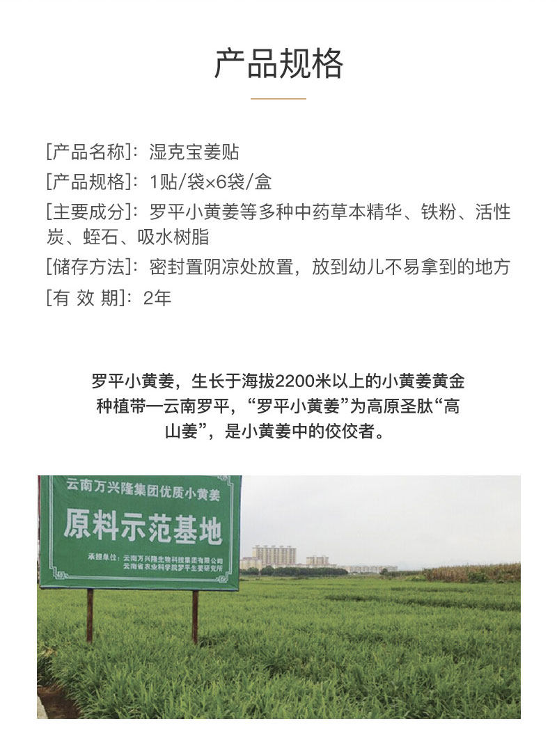 湿克宝姜贴_02