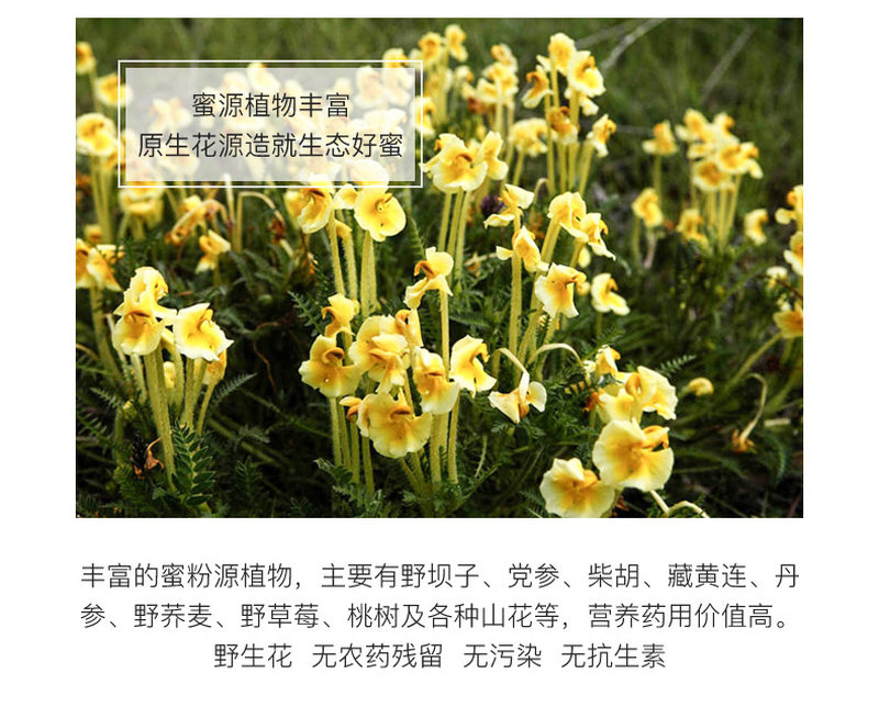 尘外藏家蜂蜜_03