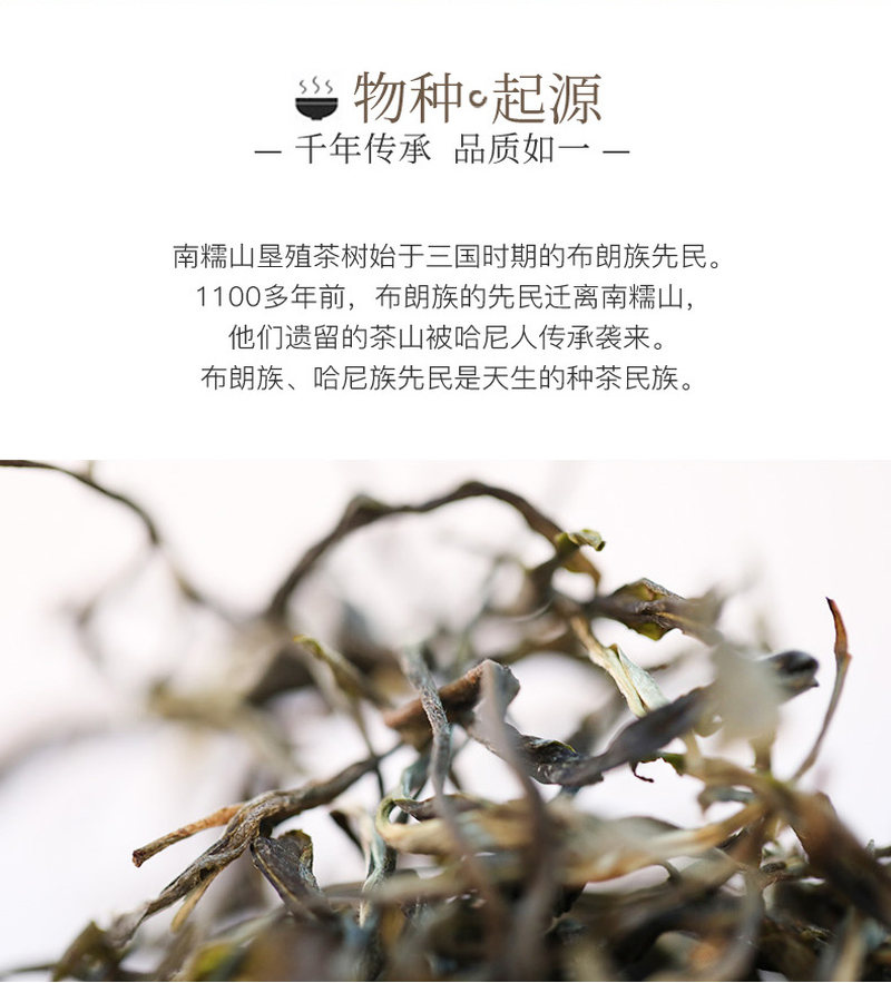 普洱茶_02