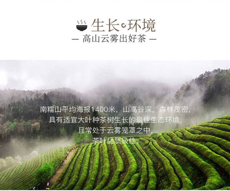 普洱茶_03