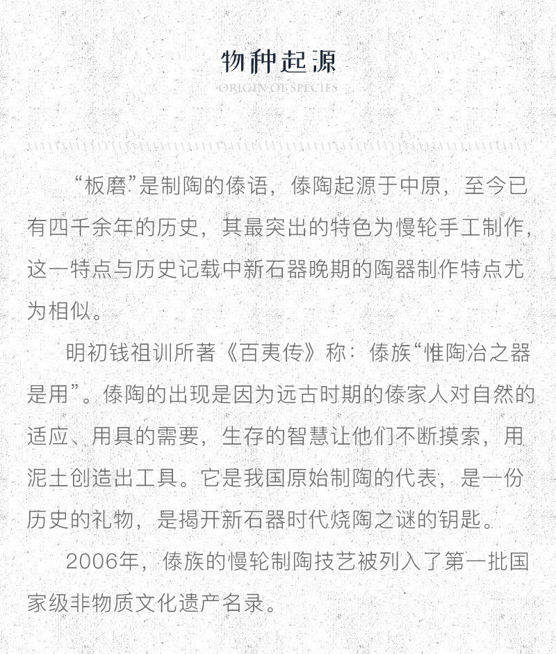 睡莲小茶杯_04