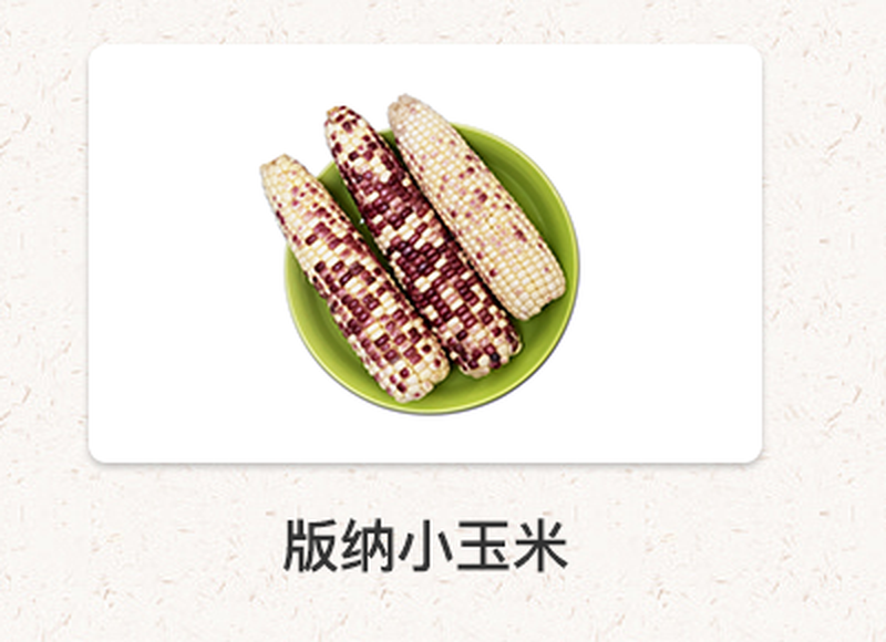 精编梅花果盘-红_15