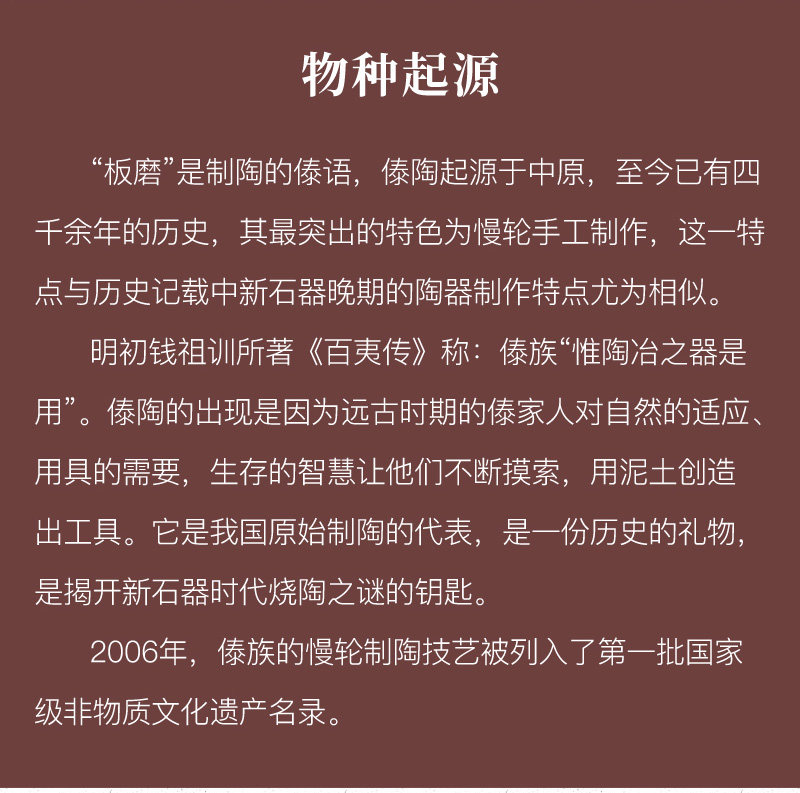 傣文主人杯_02