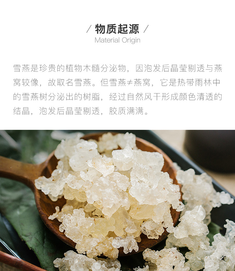 独龙雪燕_05