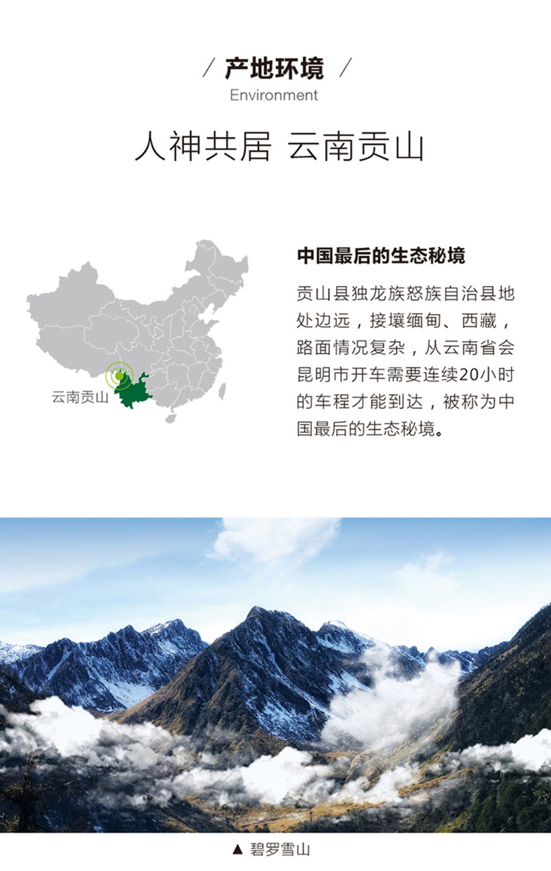 独龙雪燕_09