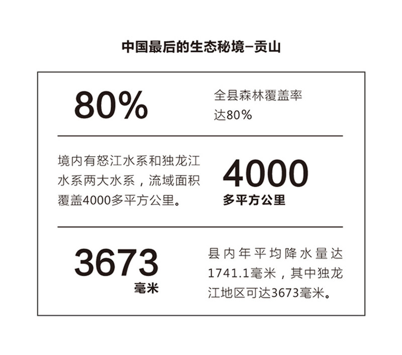 独龙雪燕_10
