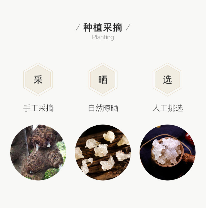 独龙雪燕_11