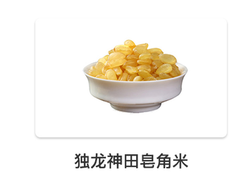 独龙雪燕_18