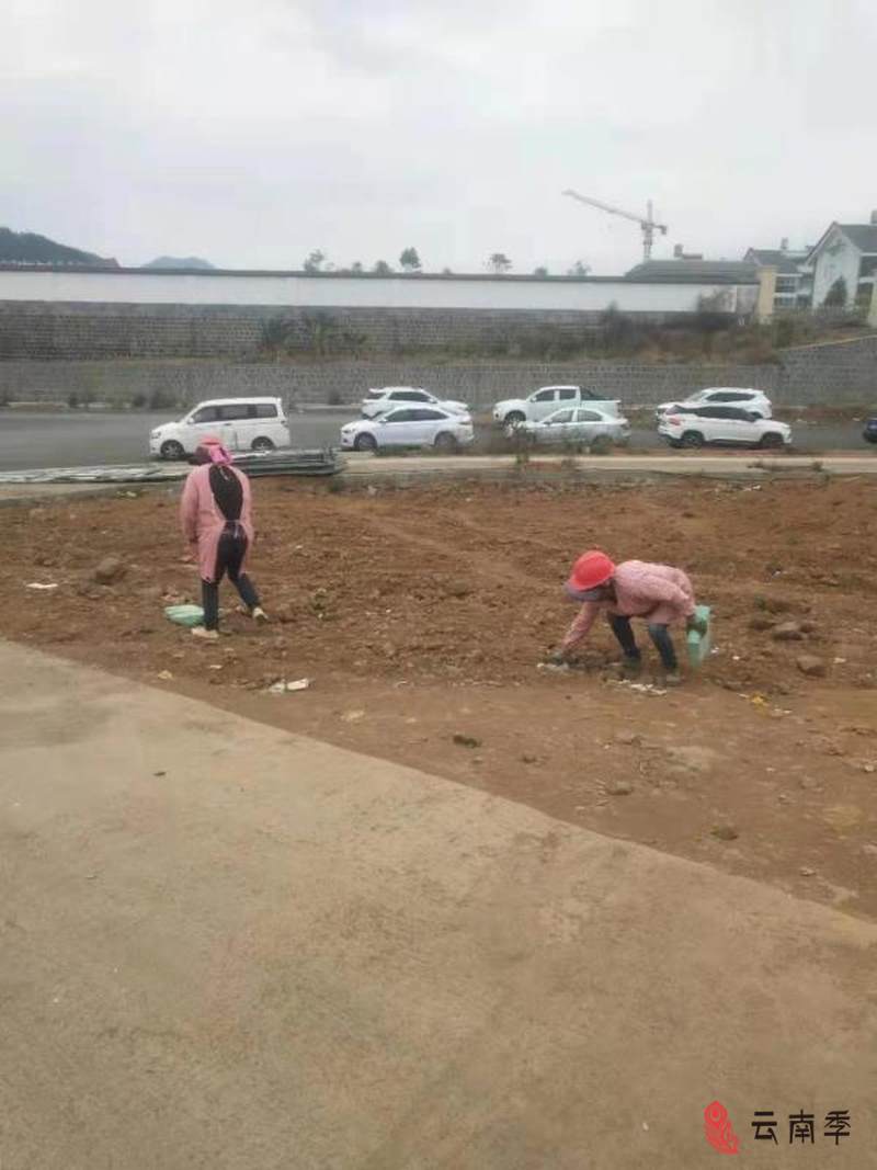 腾冲3