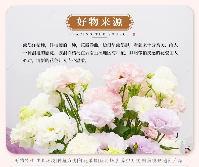波浪洋桔梗-_02