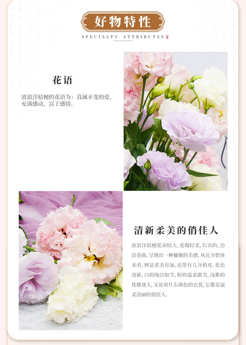 波浪洋桔梗-_03