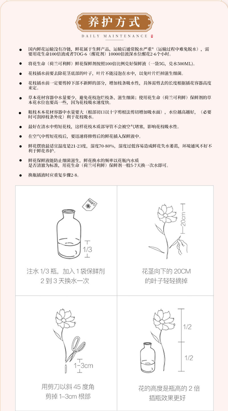 波浪洋桔梗-_08
