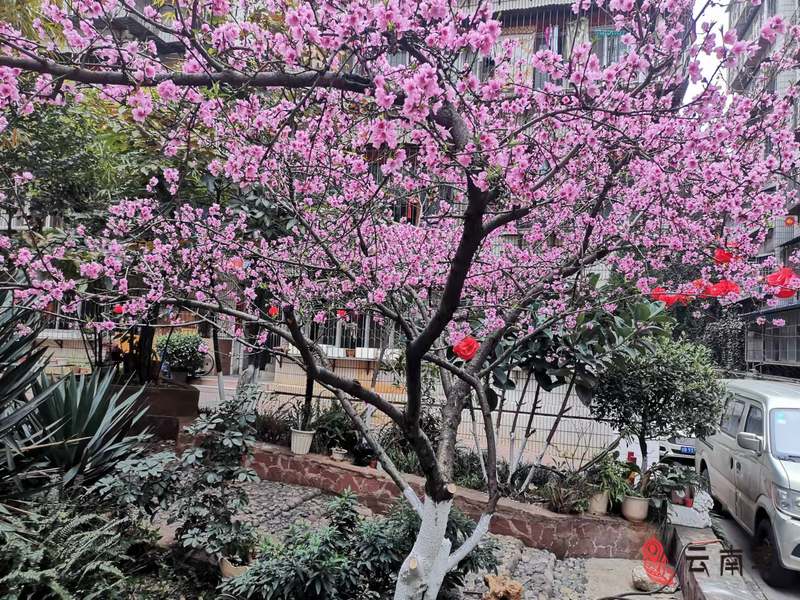 微信图片_20220221170644