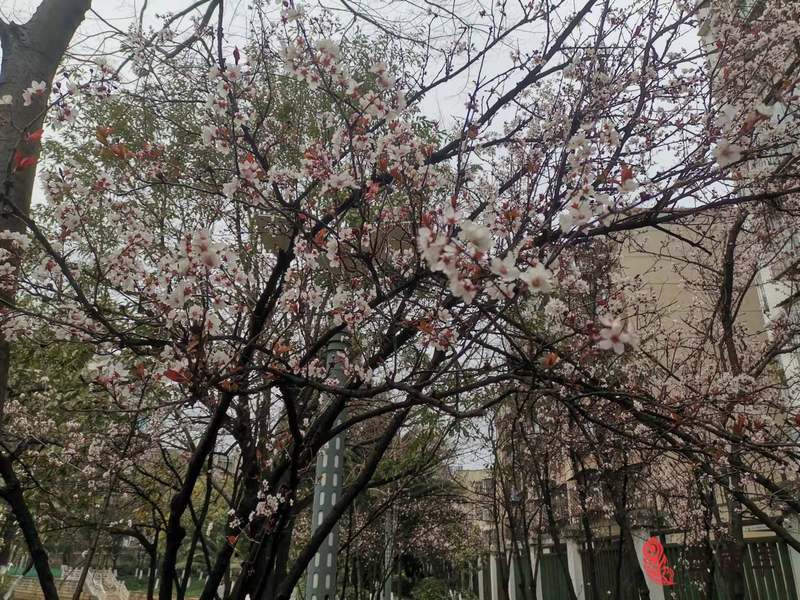 微信图片_20220221170716