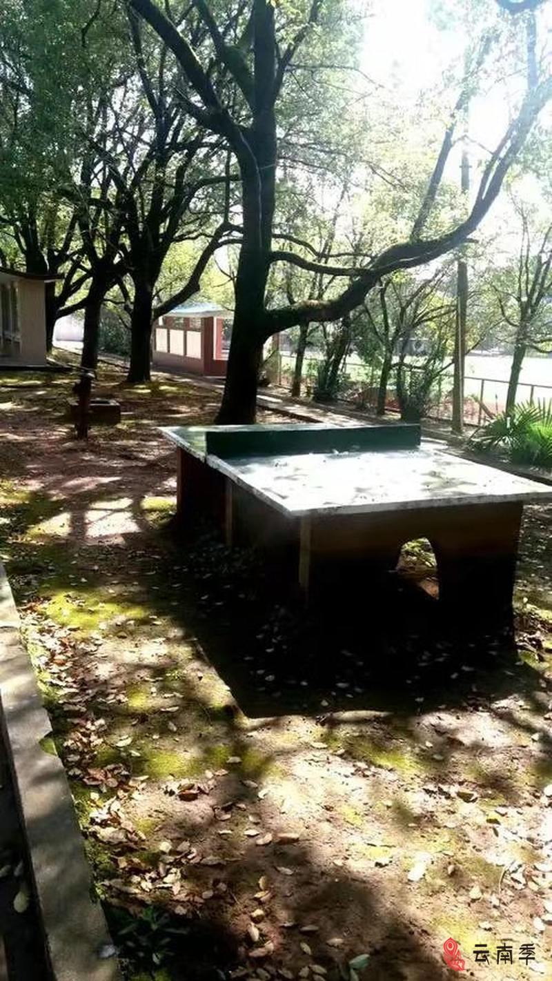 微信图片_20220311114459