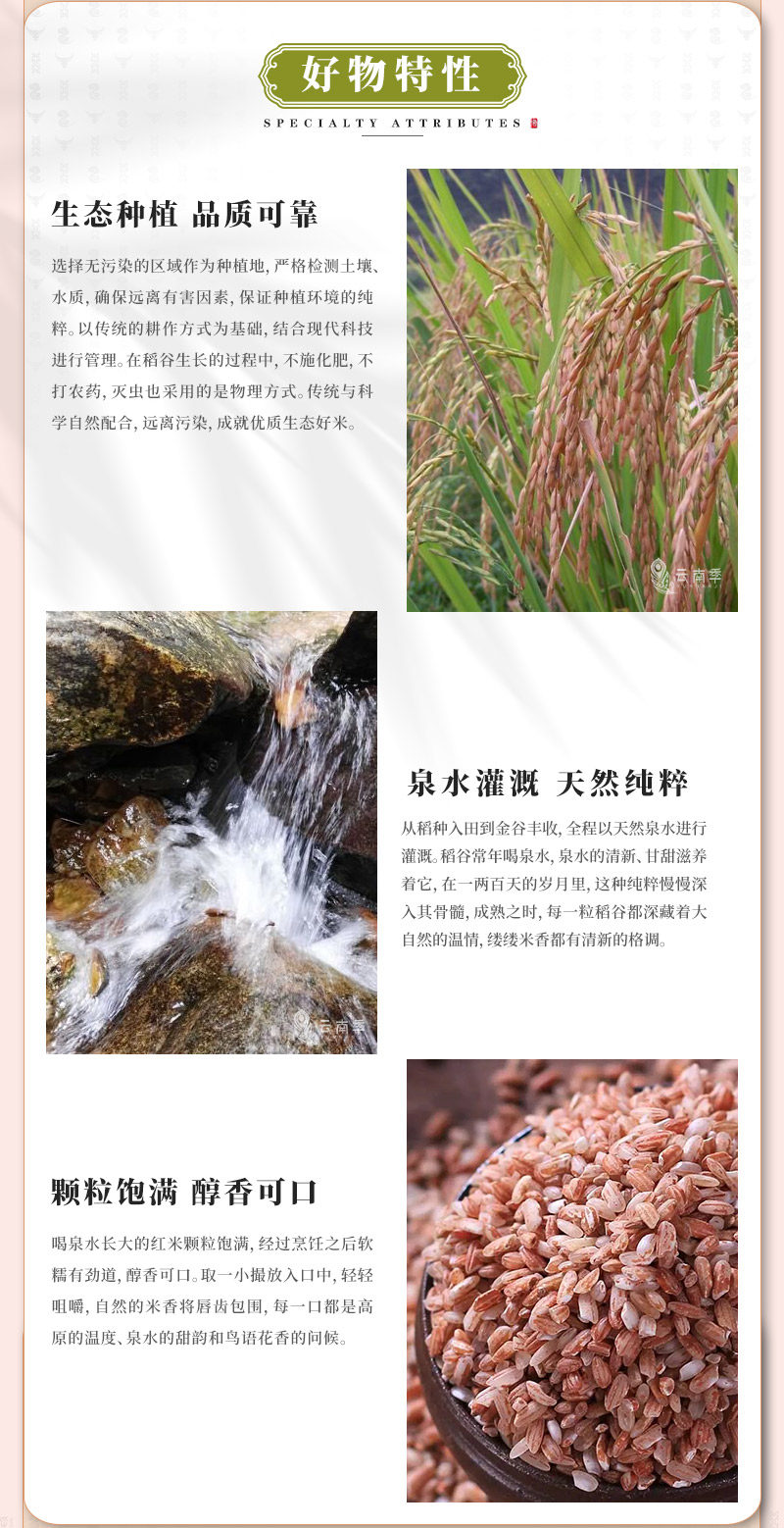 红米_03