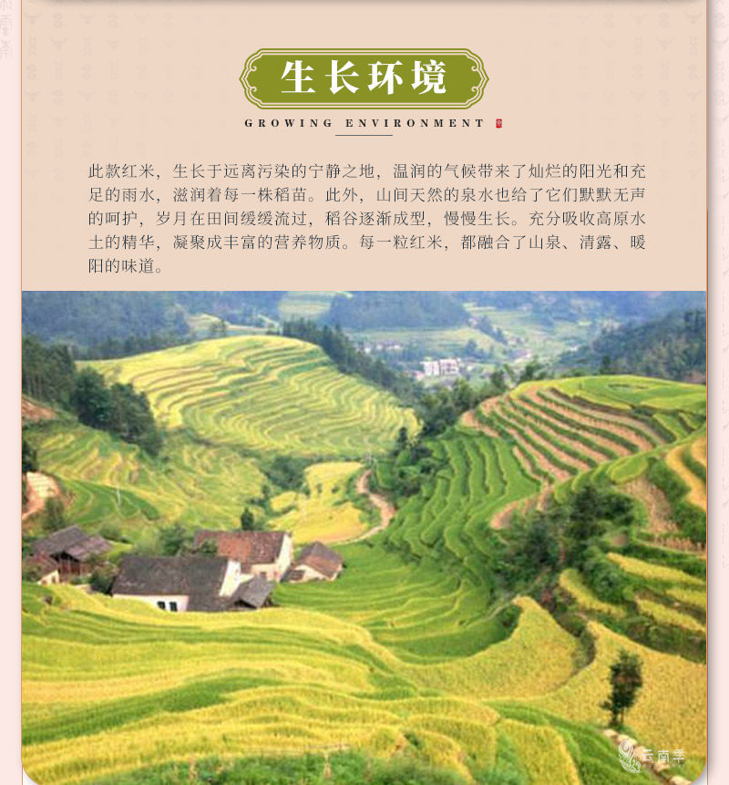 红米_04