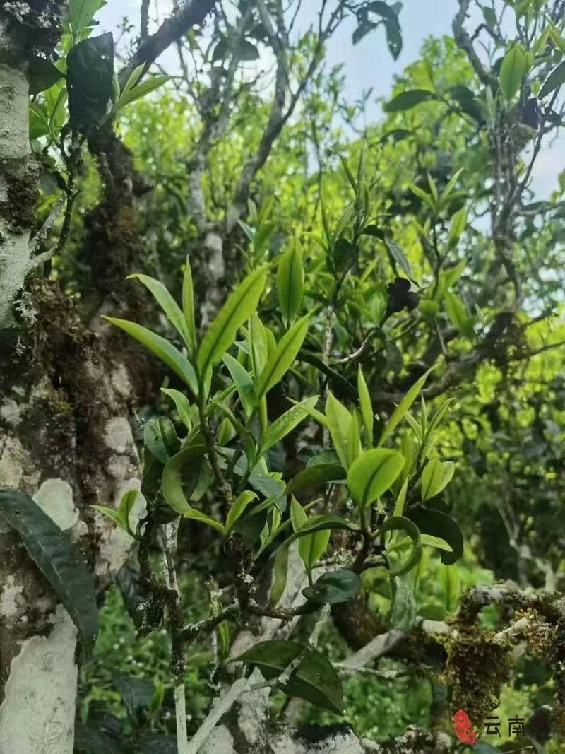 微信图片_20230615155209