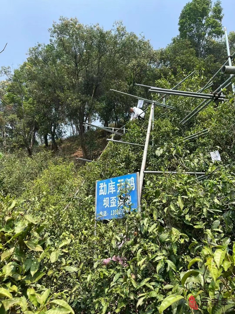 微信图片_20230618112758