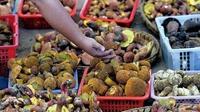 云南楚雄南华野生菌市场已进入交易旺季