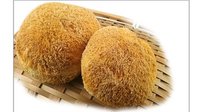 【猴头菇】猴头菇的功效与作用