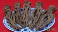 当归泡水喝的禁忌和功效