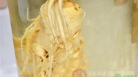 福建8批次食物不合格 罐头中含脱氢乙酸