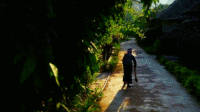 4月朋友圈谣言盘点：咖啡致癌 草莓是“最脏”蔬果