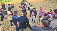 云南昭通：农技干部田间地头送科技