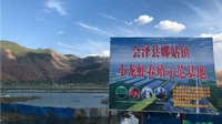 万亩小龙虾示范养殖基地落户会泽 6月可上市20万斤